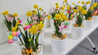 장애어르신 쉼마루 2025년 3월 12일(수) 원예교실